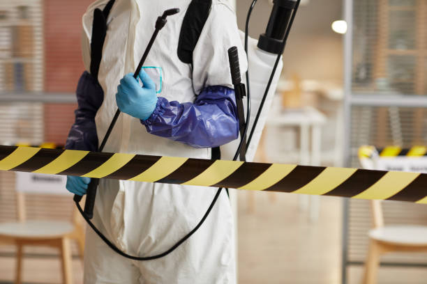 Professional Sewage Cleanup technician working in Pointblank, TX